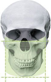 FOV 8×5 / 8×8 — часть зубного ряда