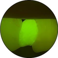 Модульная система света CJ-OPTIK Flexion Twin