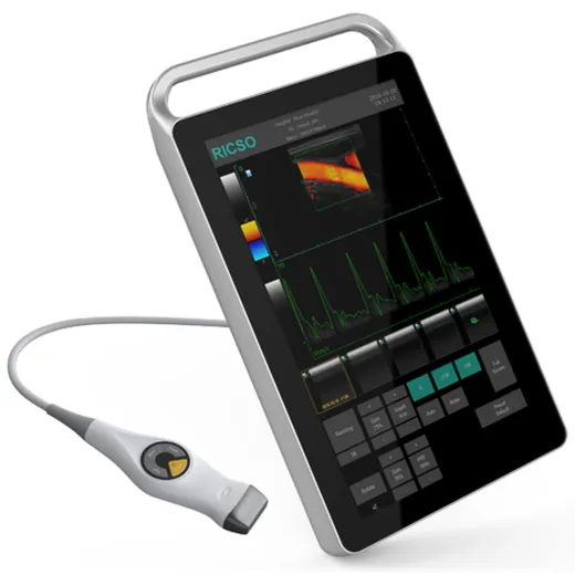 Ricso Technology Р6
