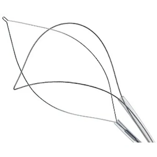 Wilson Instruments Петли для полипэктомии