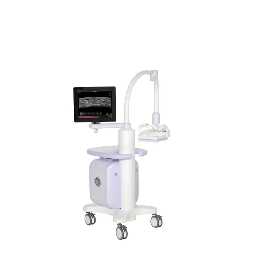 GE Healthcare Invenia Abus
