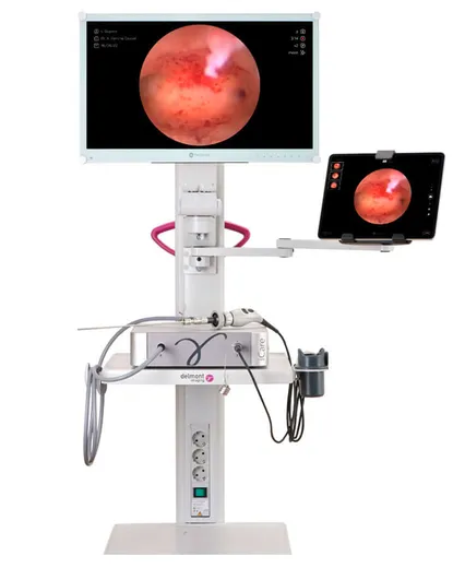 Delmont Imaging iCare+