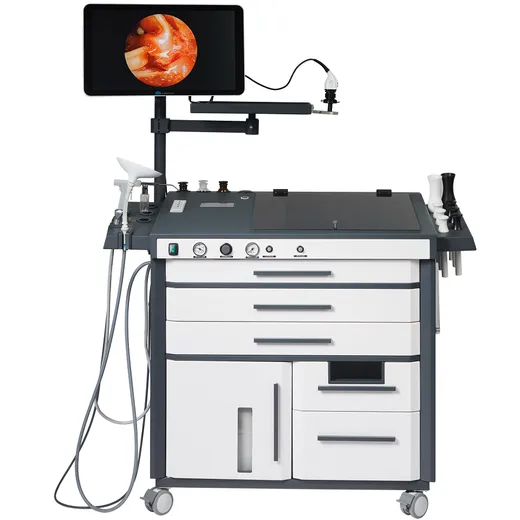 DS.Med DS.AssistENT Europe