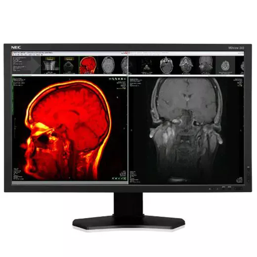 NEC MDview 243