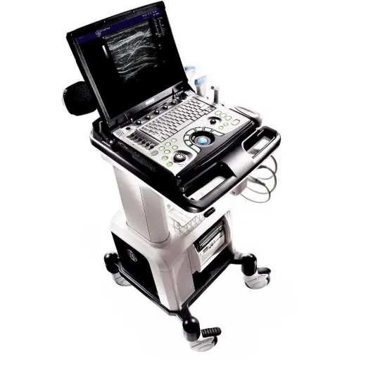 GE Healthcare Logiq e R8
