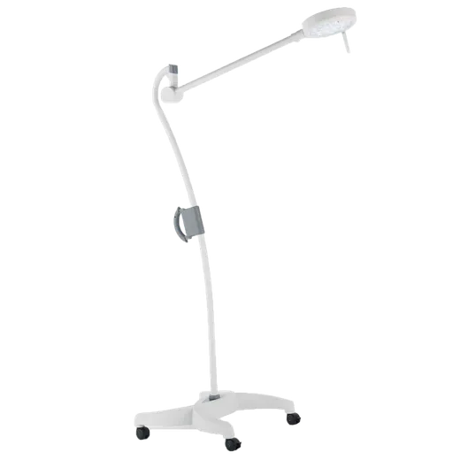 MS Westfalia Blanc Q/Q+/Q0