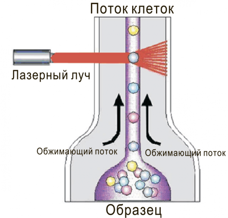 Dilon 6800