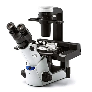 Olympus CKX53