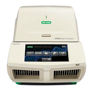 Bio-Rad Real-time CFX