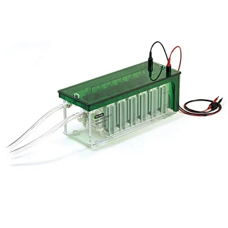 Bio-Rad Mini-Protean 3 Dodeca