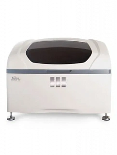 Rayto Rochen Magnus 5000