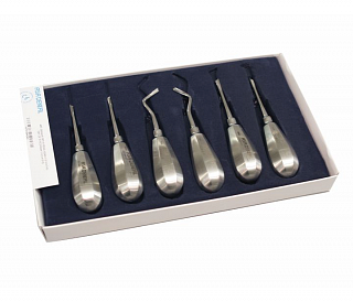 Asa Dental S0244-6 - набор элеваторов, 6 шт