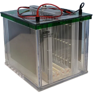 Bio-Rad Protean Plus Dodeca cell