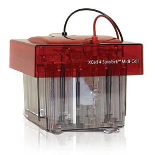 Thermo Fisher Scientific XCell SureLock Midi-Cell